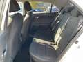 Kia Rio 1,0 Spirit Navi Kamera BLIS 17" Weiß - thumbnail 19