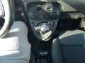 Fiat 500 FireFly Hybrid 70 Sport Grau - thumbnail 11