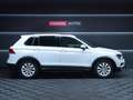 Volkswagen Tiguan 1.5 TSI Advance DSG 110kW Blanco - thumbnail 47