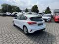 Ford Focus 1.0 EcoBoost Trend Klima PDC WINTERPAKET Bianco - thumbnail 9