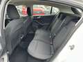 Ford Focus 1.0 EcoBoost Trend Klima PDC WINTERPAKET Blanc - thumbnail 24