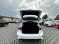 Ford Focus 1.0 EcoBoost Trend Klima PDC WINTERPAKET Blanc - thumbnail 26
