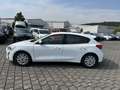 Ford Focus 1.0 EcoBoost Trend Klima PDC WINTERPAKET Bianco - thumbnail 8