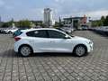 Ford Focus 1.0 EcoBoost Trend Klima PDC WINTERPAKET Bianco - thumbnail 13