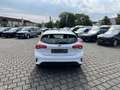 Ford Focus 1.0 EcoBoost Trend Klima PDC WINTERPAKET Bianco - thumbnail 10