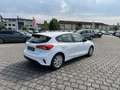 Ford Focus 1.0 EcoBoost Trend Klima PDC WINTERPAKET Bianco - thumbnail 12