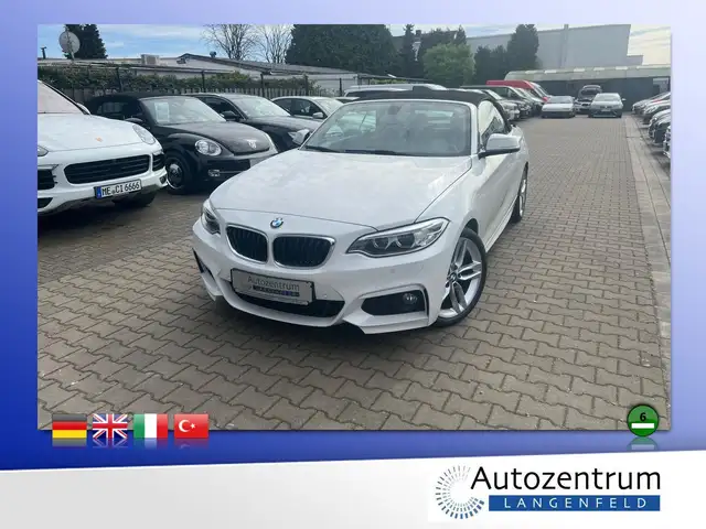 BMW 220 d Cabrio M Sportpaket *LEDER*XENON*PDC*