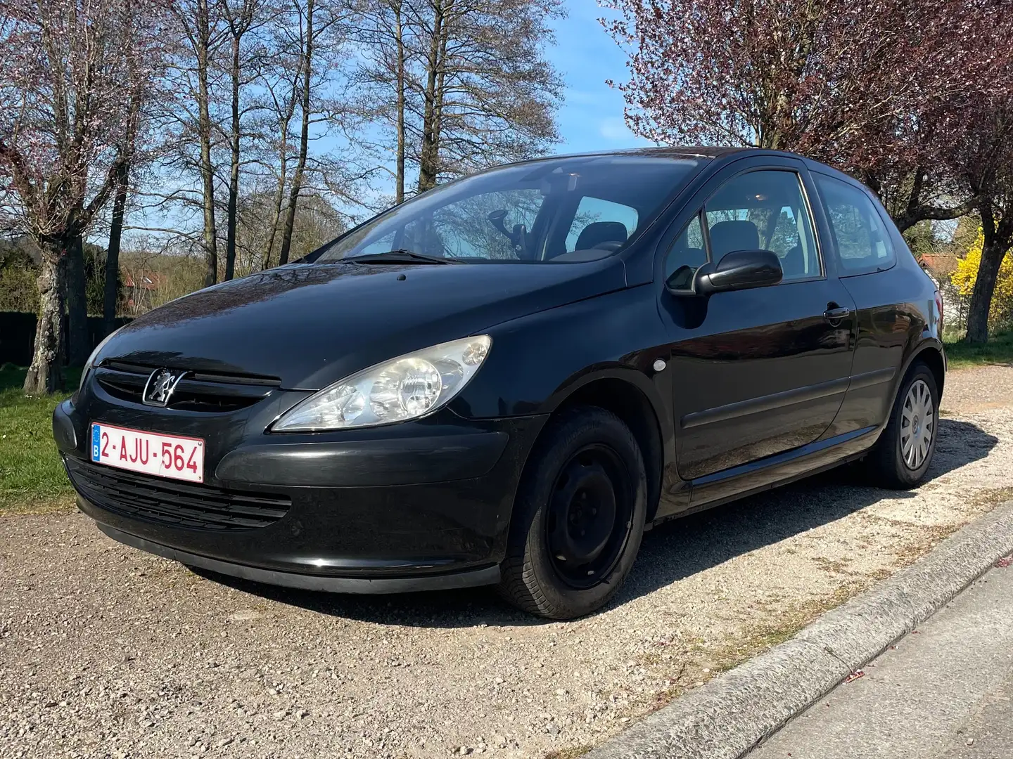 Peugeot 307 307 1.6i 16V XS Czarny - 1