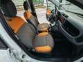 Fiat Panda 0.9 twinair turbo 85cv 4x4 Blanc - thumbnail 7