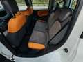 Fiat Panda 0.9 twinair turbo 85cv 4x4 Blanc - thumbnail 9