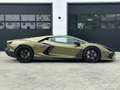 Lamborghini Revuelto FULL*CARBON EXTERIOR*AD PERSONAM*STOCK*NOW Verde - thumbnail 5