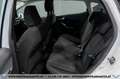 Ford Fiesta Cool & Connect 1,1 Start/Stop*AHK*TEMPOMAT* Weiß - thumbnail 12