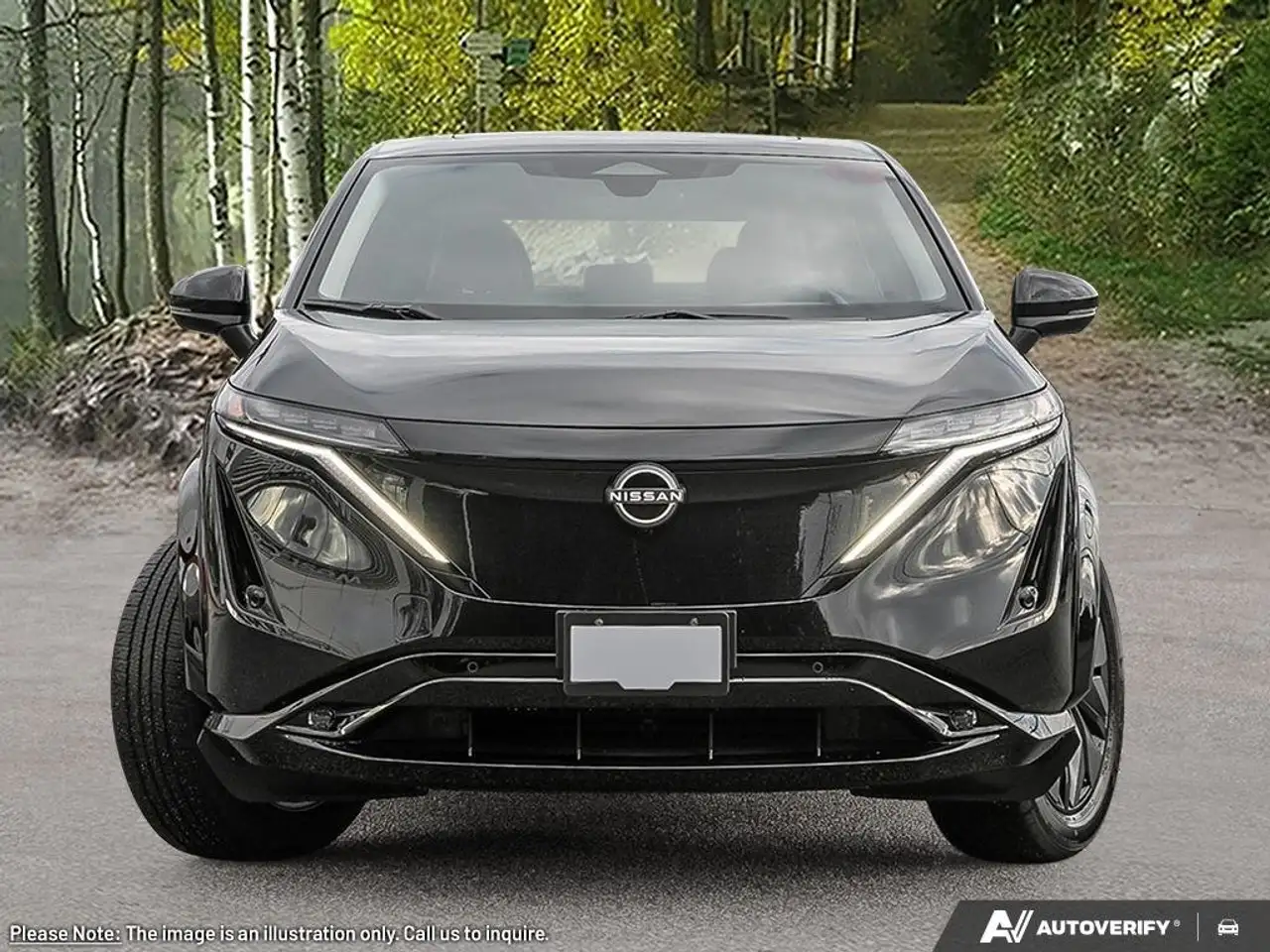 Nissan Ariya photo Nissan Ariya