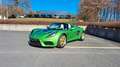 Lotus Elise Detroit Electric SP:01 Verde - thumbnail 22