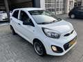 Kia Picanto 1.0 CVVT Blanc - thumbnail 5