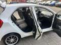 Kia Picanto 1.0 CVVT Blanc - thumbnail 9