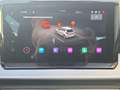 SEAT Ibiza Xcell 1.0 TSI DSG V-COCK T-LEDER NAVI R-KAM Schwarz - thumbnail 19