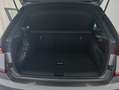 Skoda Kamiq 1.0 TSI DSG Monte Carlo Matrix Pano ACC Grau - thumbnail 21