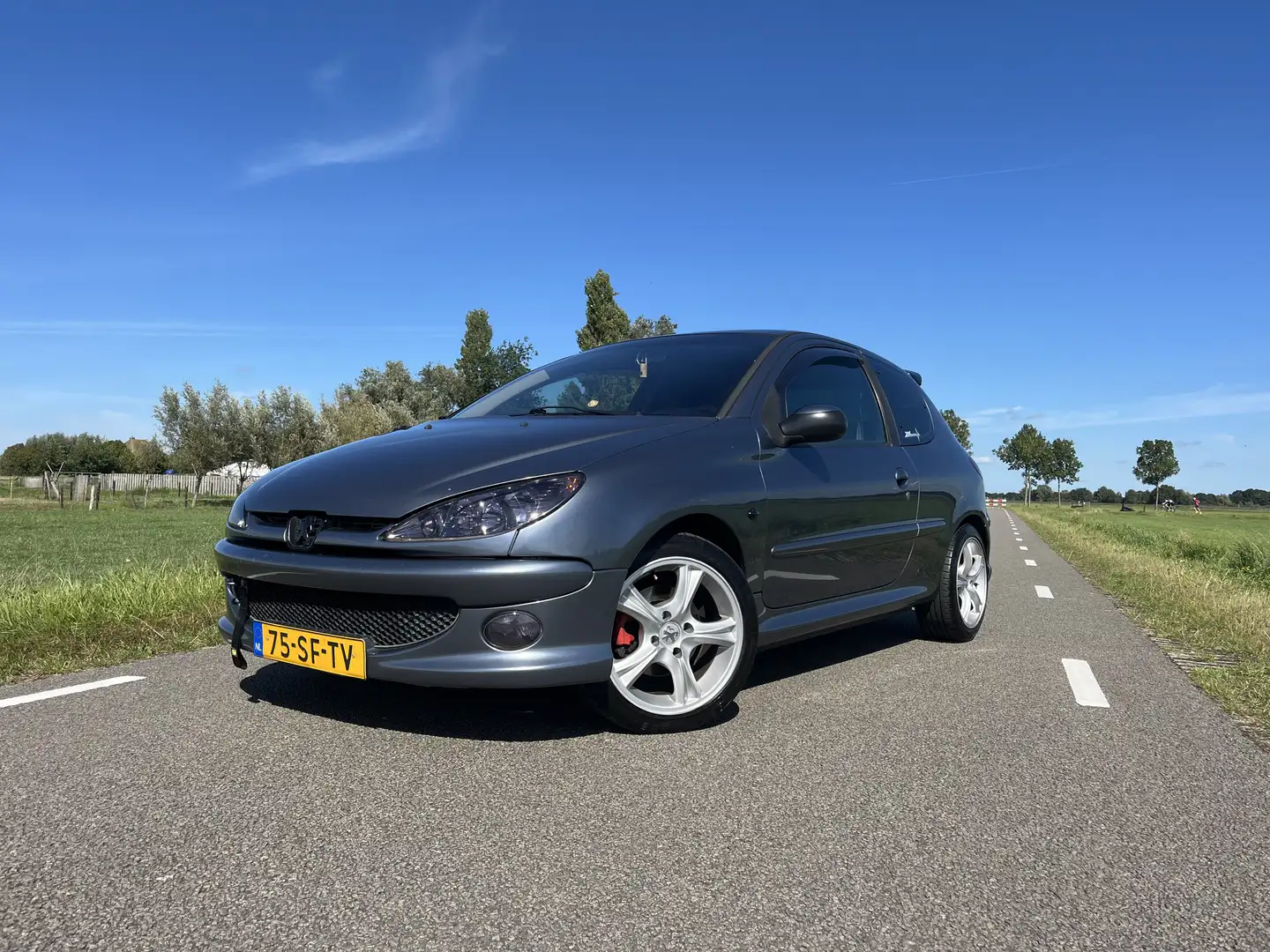 Peugeot 206 1.4-16V XS Grijs - 1