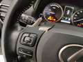 Lexus NX 300h 300h 2.5 Premium 4wd cvt Grigio - thumbnail 15