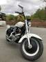 Harley-Davidson Sportster 883 Blanc - thumbnail 8