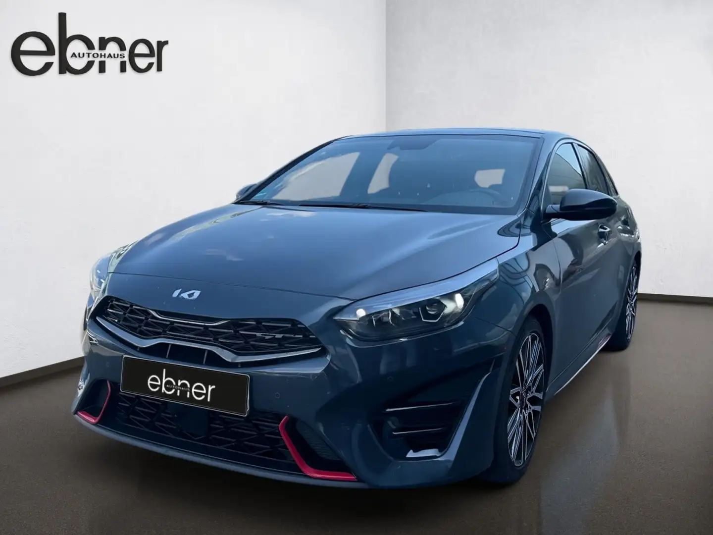 Kia ProCeed / pro_cee'd Proceed 1.6 T-GDI GT | Sitzheizung | Komfort-Pak Grau - 2