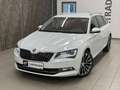 Skoda Superb 2.0 TDI L&K Green tec Weiß - thumbnail 2