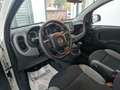 Fiat Panda 1.0 FireFly S&S Hybrid City Life Bianco - thumbnail 8