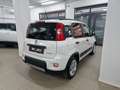 Fiat Panda 1.0 FireFly S&S Hybrid City Life Bianco - thumbnail 7