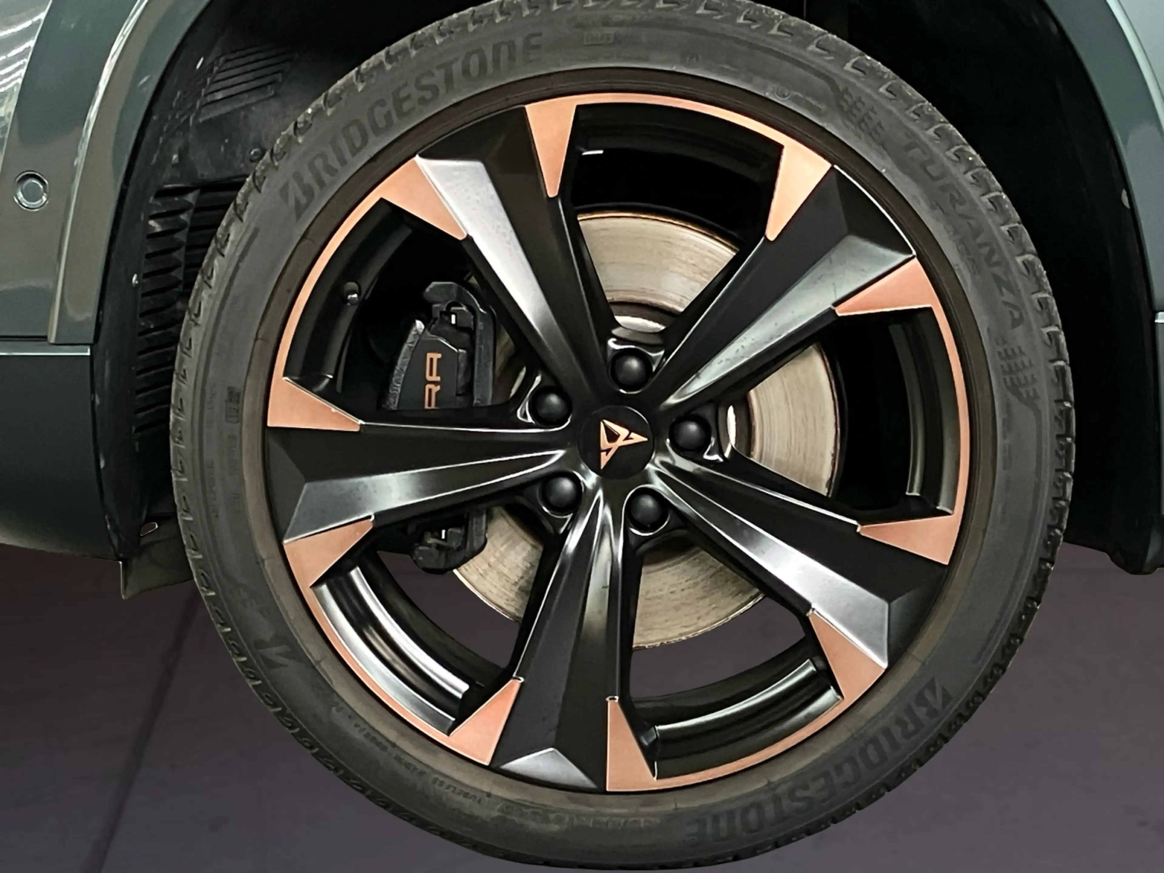 CUPRA Ateca 2.0 TSI DSG VZ AHK Pano LED Kamera — photo 7