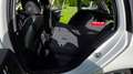 Skoda Octavia Octavia Combi 1,6 Ambition TDI Green tec Ambition Weiß - thumbnail 22
