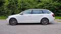 Skoda Octavia Octavia Combi 1,6 Ambition TDI Green tec Ambition Weiß - thumbnail 3