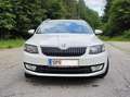 Skoda Octavia Octavia Combi 1,6 Ambition TDI Green tec Ambition Weiß - thumbnail 5