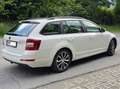 Skoda Octavia Octavia Combi 1,6 Ambition TDI Green tec Ambition Weiß - thumbnail 9