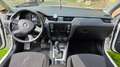 Skoda Octavia Octavia Combi 1,6 Ambition TDI Green tec Ambition Weiß - thumbnail 19