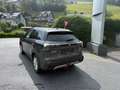 Suzuki S-Cross 1,4 GL+ DITC Hybrid ALLGRIP shine Aut. *AHV* Grau - thumbnail 4