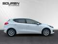 Kia Ceed / cee'd Dream Team 1.4 DT15 +Navi+Ambientebeleuchtung+SHZ+ Weiß - thumbnail 5