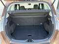 Ford B-Max B-MAX Titanium 1,0 EcoBoost sehr gute Ausstattu... Braun - thumbnail 17