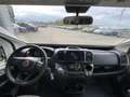 Forster T 745 EB, MAXI 4.25 t Sondermodell 10 Jahre Grau - thumbnail 4