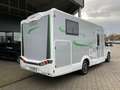 Forster T 745 EB, MAXI 4.25 t Sondermodell 10 Jahre Grau - thumbnail 8