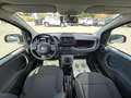 Fiat Panda Panda 1.0 firefly hybrid City Life Grigio - thumbnail 9