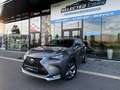 Lexus NX 300h NX 300h E-FOUR F Sport Gris - thumbnail 8