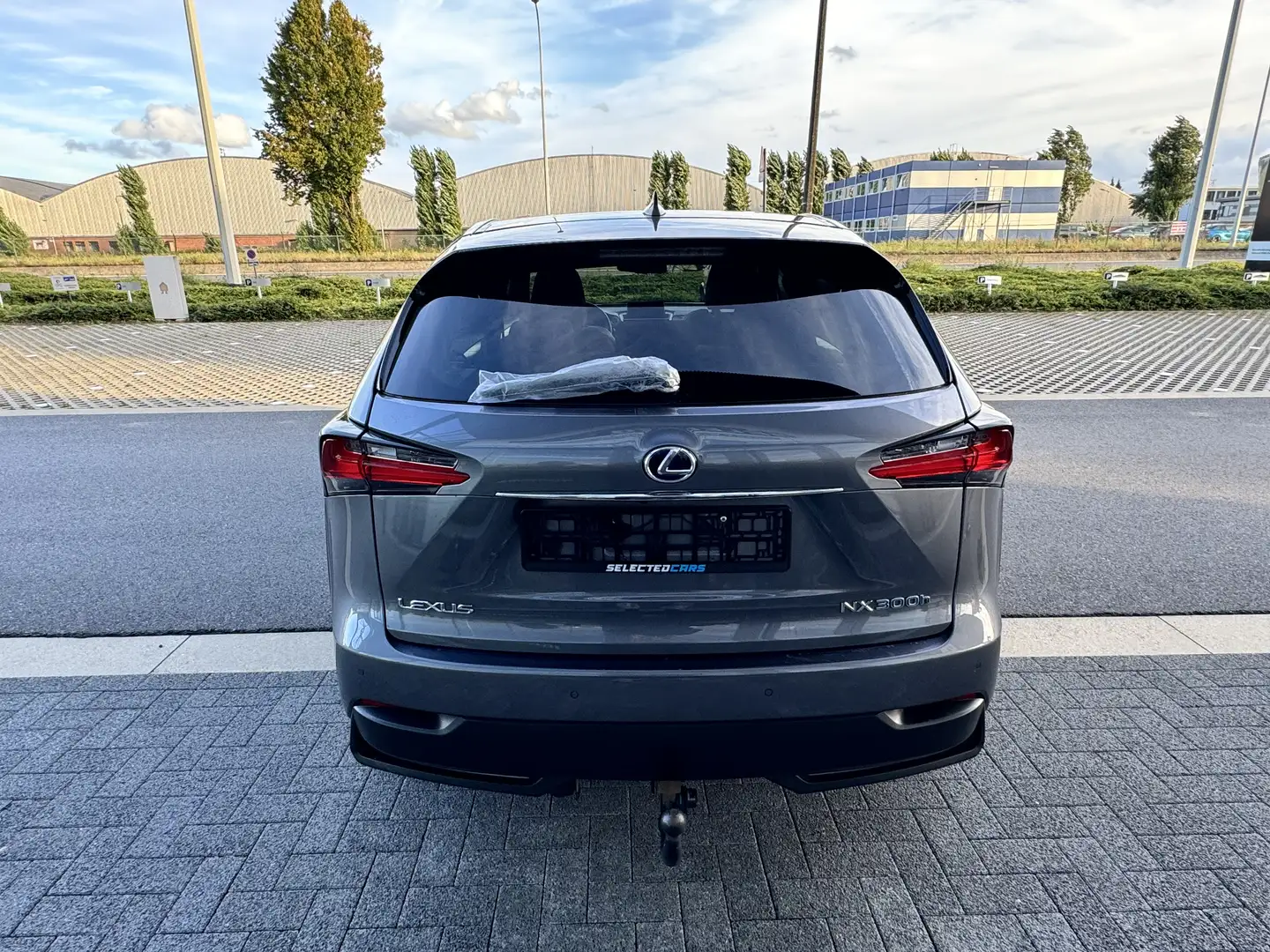 Lexus NX 300h NX 300h E-FOUR F Sport Gris - 2