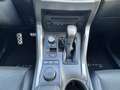 Lexus NX 300h NX 300h E-FOUR F Sport Gris - thumbnail 14
