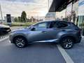 Lexus NX 300h NX 300h E-FOUR F Sport Gris - thumbnail 7