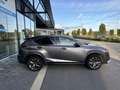 Lexus NX 300h NX 300h E-FOUR F Sport Gris - thumbnail 6