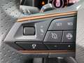CUPRA Formentor 2.0 TDI 4Dr DSG *LED*AHK*Memory*CAM*SHZ* Weiß - thumbnail 25