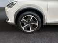 CUPRA Formentor 2.0 TDI 4Dr DSG *LED*AHK*Memory*CAM*SHZ* Weiß - thumbnail 22