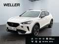 CUPRA Formentor 2.0 TDI 4Dr DSG *LED*AHK*Memory*CAM*SHZ* Weiß - thumbnail 1