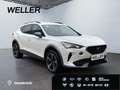 CUPRA Formentor 2.0 TDI 4Dr DSG *LED*AHK*Memory*CAM*SHZ* Weiß - thumbnail 4